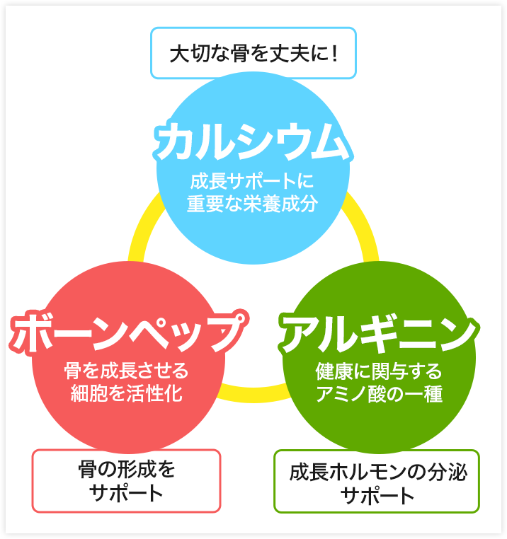 3成分