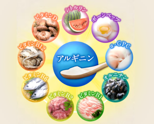 アルギニン＋黄金バランスの栄養